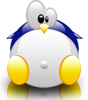 Penguin pingouin pinguino 262